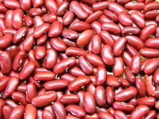 Red Kidney beans