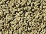 Robusta Coffee Beans for sell.