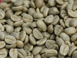 Arabica Coffee Beans for sell.